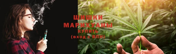 прущие крисы Белокуриха